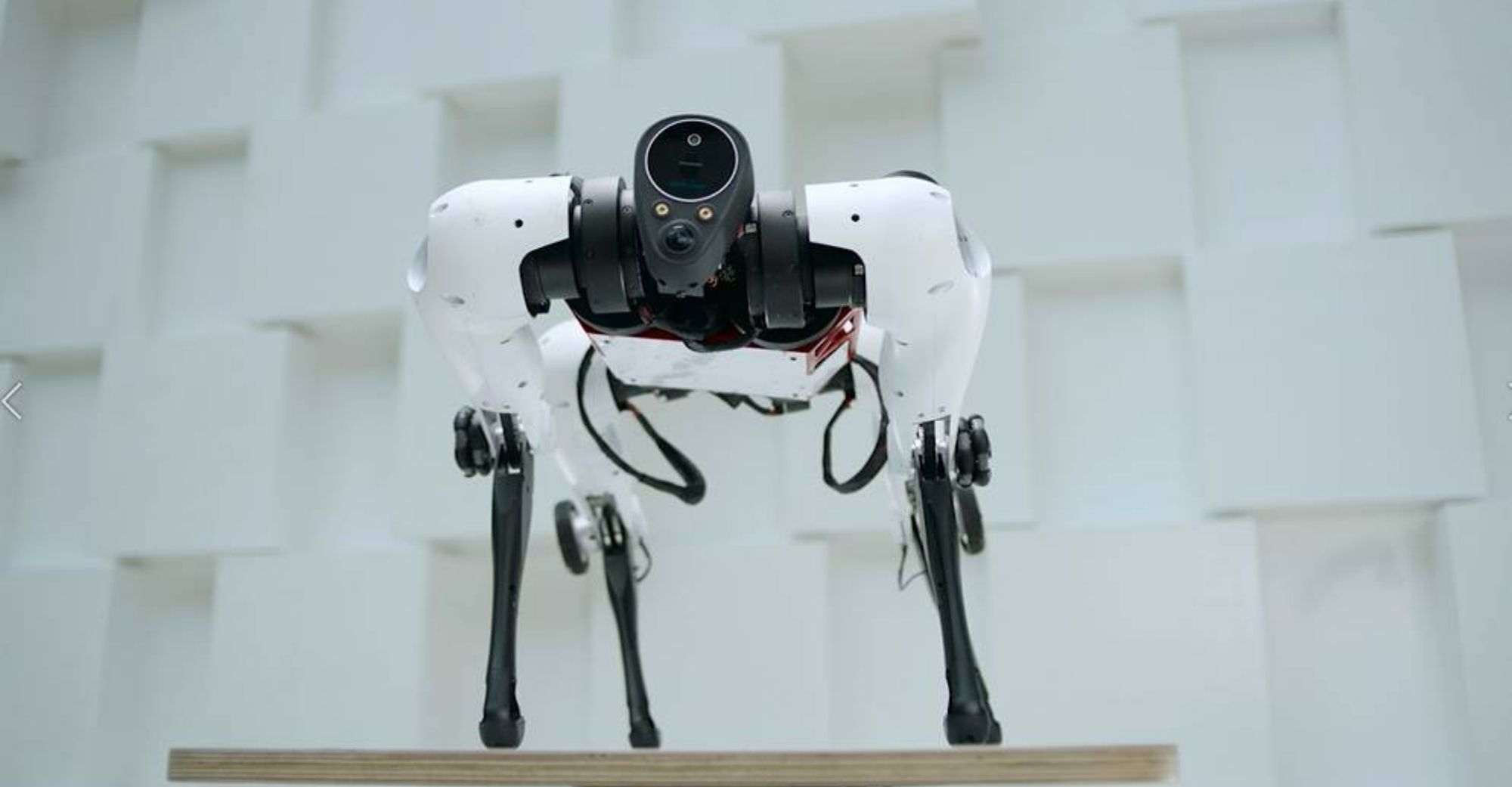 Tencent revela cão robô de quatro patas que pode correr, pular e dar