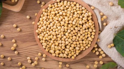 China é o maior produtor mundial de soja não transgênica