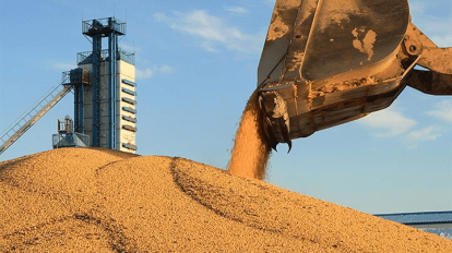 Colheita de grãos da China