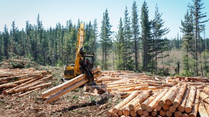 Créditos de carbono