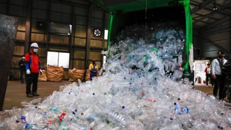 Dia Mundial do Meio Ambiente