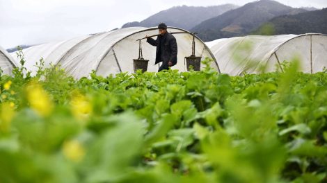 Tecnologia no agro