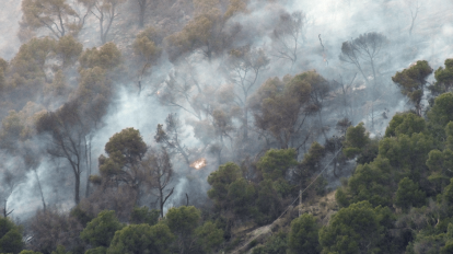 Aeronave de combate a incêndios