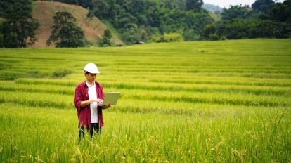 Agricultura chinesa