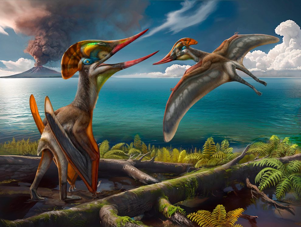 pterossauro