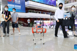 Empresas inteligência artificial China