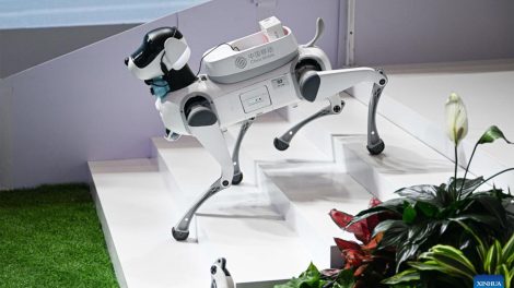 Robô inteligente China