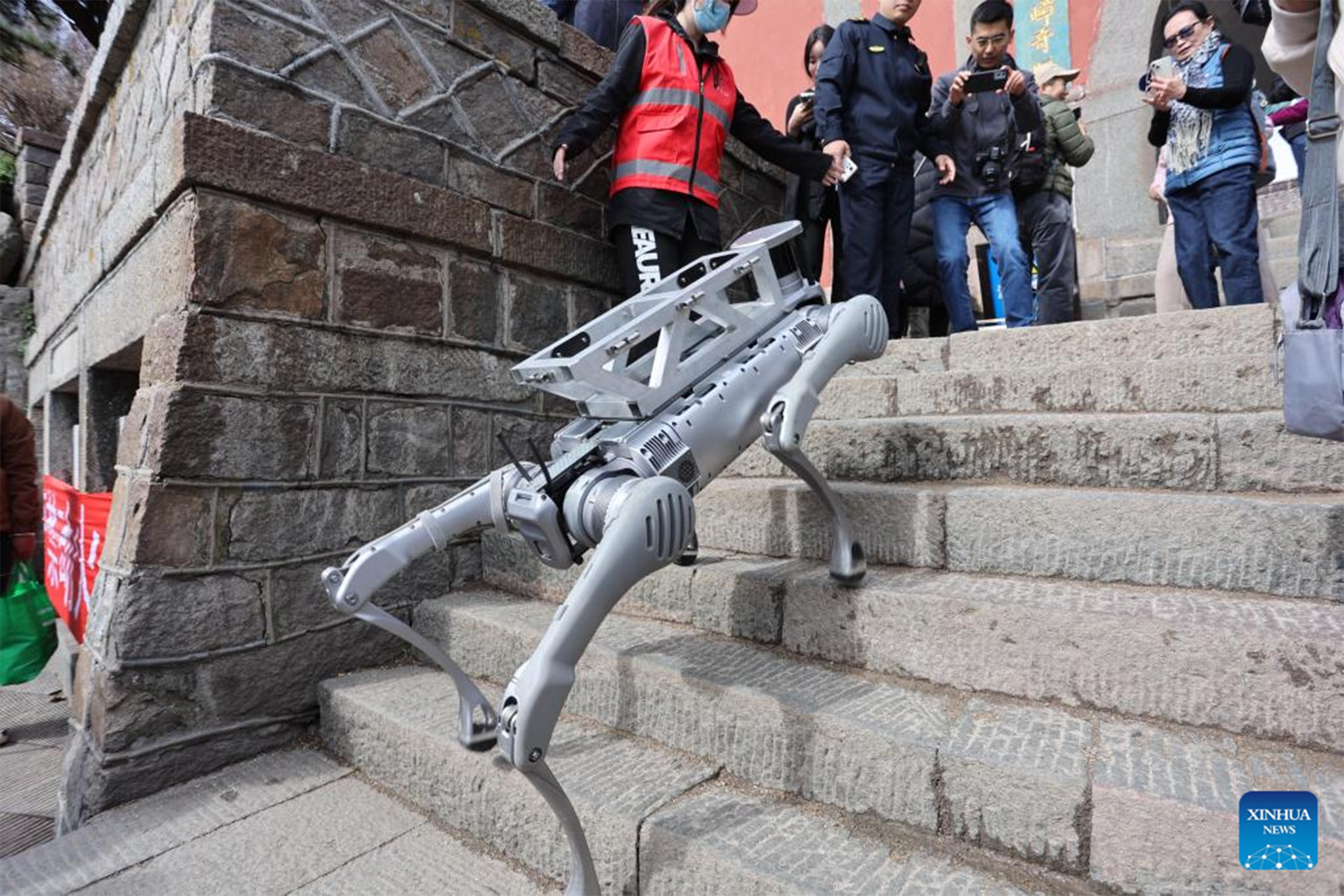 Robôs de estimação ganham espaço no cotidiano urbano na China ...