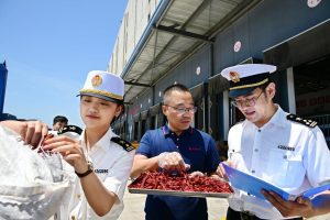China África comércio bilateral