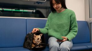 Transporte de animais em trens