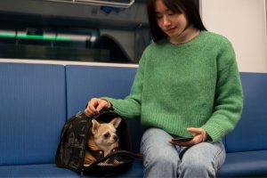 Transporte de animais em trens