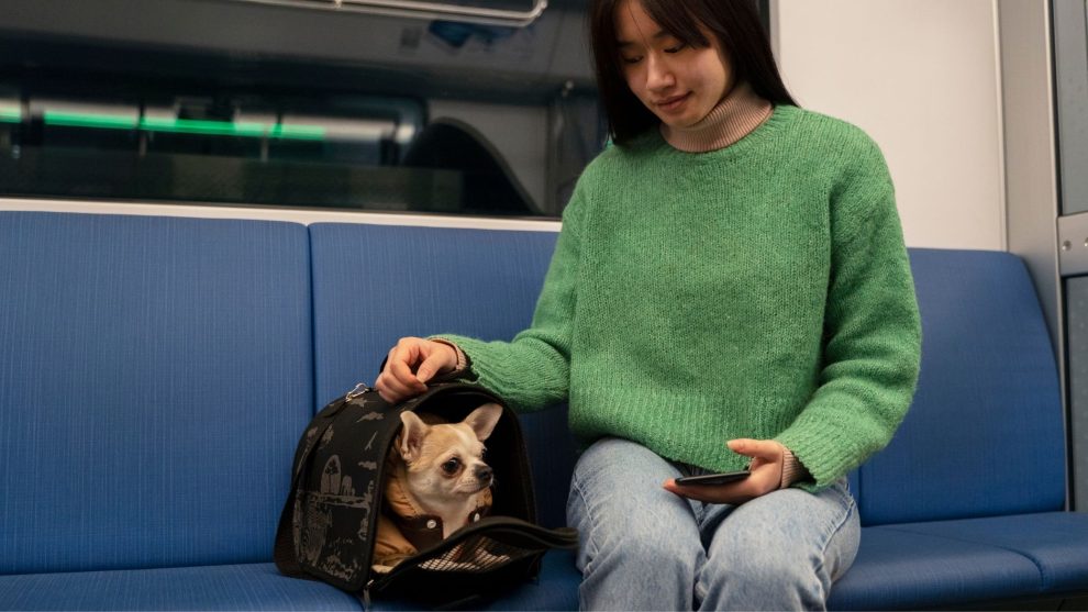 Transporte de animais em trens