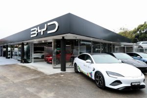 BYD lidera vendas