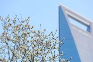 Reinvestimento de empresas