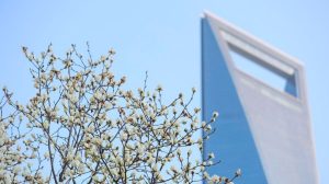 Reinvestimento de empresas