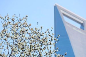 Reinvestimento de empresas