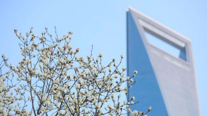 Reinvestimento de empresas