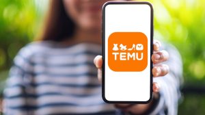 Mercado Livre liderança Temu