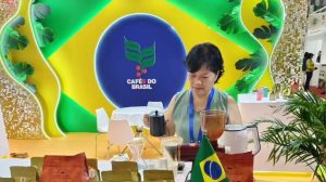 Culinária China Brasil