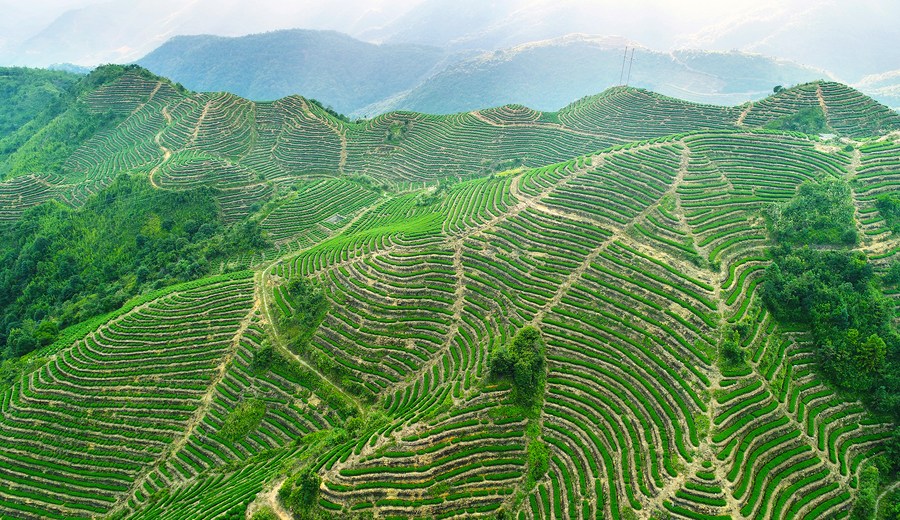 Patrimônio agrícola cultural