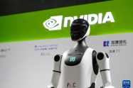 NVIDIA receita