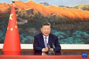 China emissões de carbono