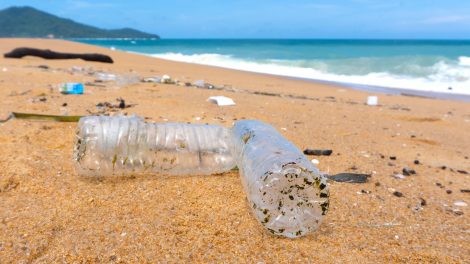 CO2 plástico biodegradável