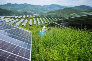 Energia renovável China