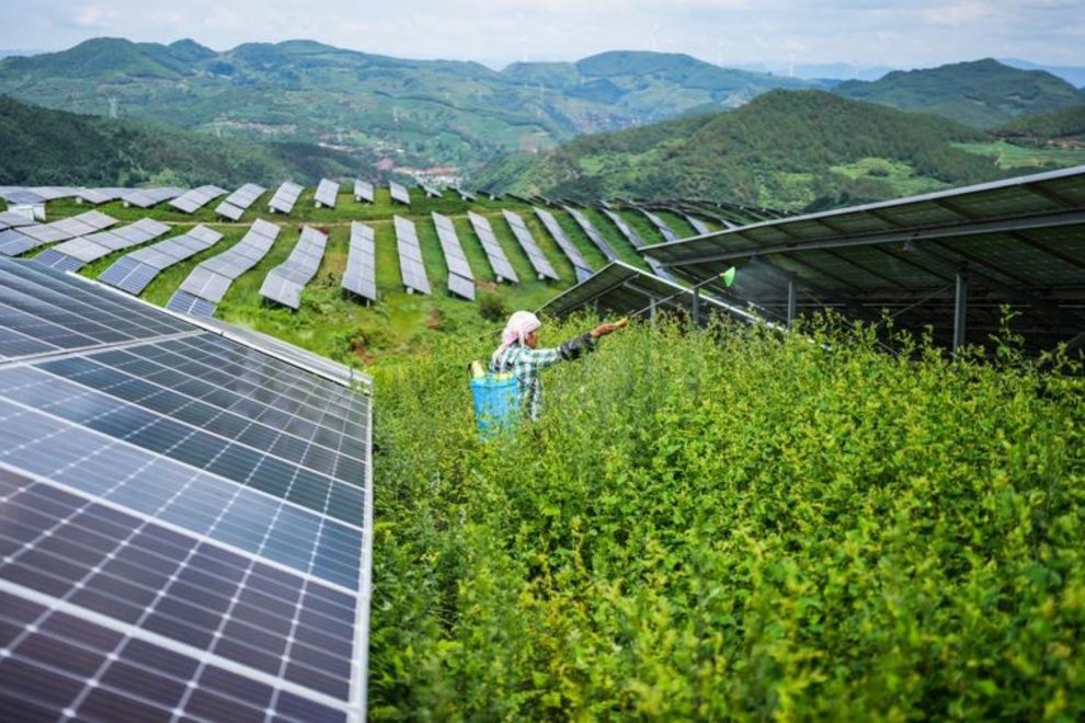 Energia renovável China