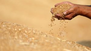 Mercado de commodities