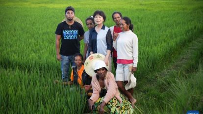 Segurança alimentar África