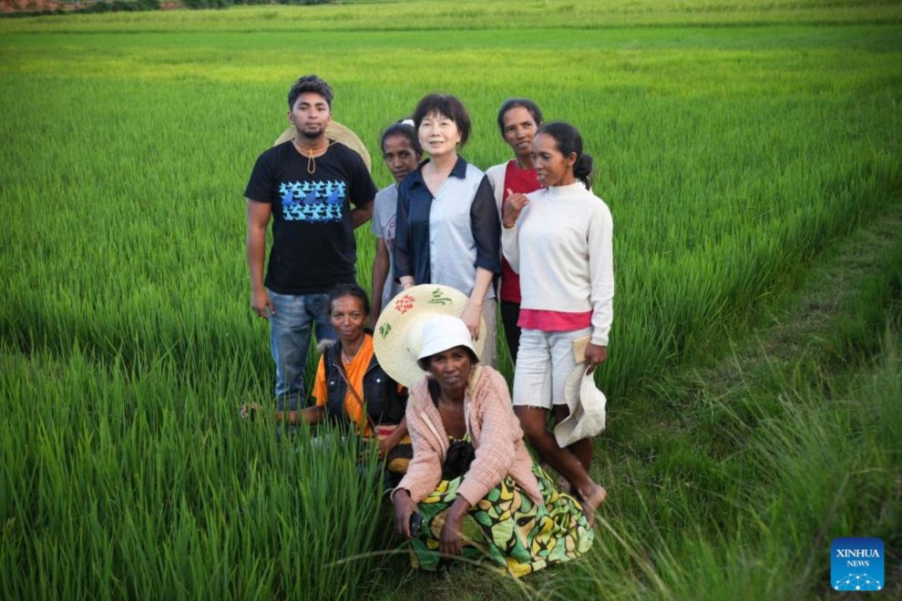 Segurança alimentar África