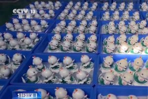 Ações ambientais da China