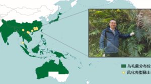 Extração sustentável terras raras