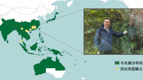 Extração sustentável terras raras