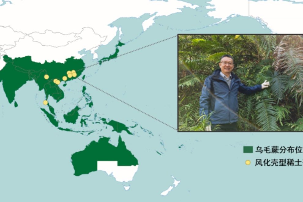 Extração sustentável terras raras