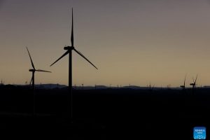 Maior usina de amônia verde