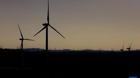 Maior usina de amônia verde