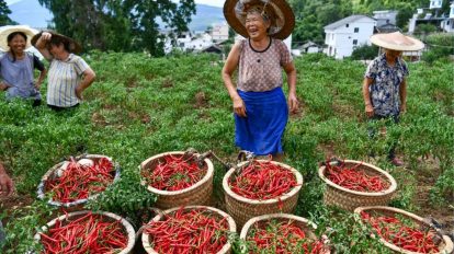 China reforça medidas contra retorno à pobreza