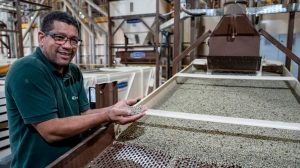 Exportações de café do Brasil