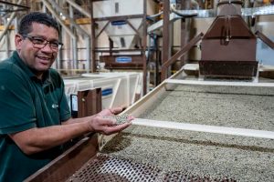 Exportações de café do Brasil