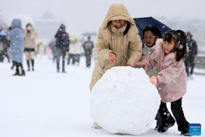 Indústria de neve em 2025