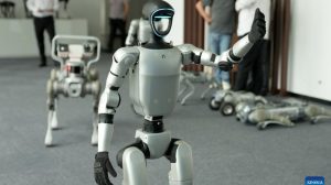 Marcas chinesas global