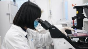 Medicamento perda de peso