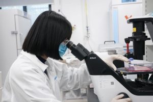 Medicamento perda de peso