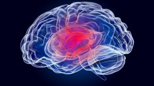 Recuperação da consciência estado vegetativo