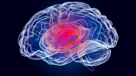 Recuperação da consciência estado vegetativo