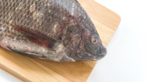 Biossegurança e comércio internacional