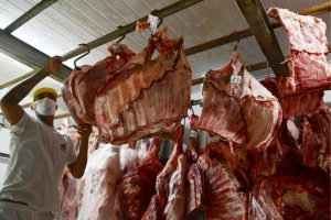 China salvaguarda bovina