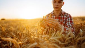 Feiras agropecuárias de 2026
